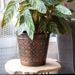 Vintage Allium Patterned Cone Pot - 37cm -Green Decor Hub Sales Store 13973621 8485011239919857