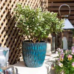 Chiswick Textured Pot Green - 24cm 9 Chiswick Textured Pot Green - 24cm -Green Decor Hub Sales Store 13973630 1585011238234973