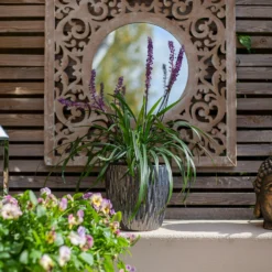 Chiswick Textured Pot Black - 32cm -Green Decor Hub Sales Store 13973634 2915011238297361