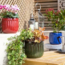 Chiswick Running Pot Green - 38cm 11 Chiswick Running Pot Green - 38cm -Green Decor Hub Sales Store 13973643 5935011238582982