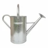 Galvanized Watering Can - 9L 1 Galvanized Watering Can - 9L -Green Decor Hub Sales Store 13976731 1484993048165425