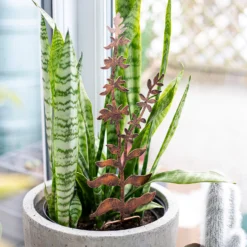 Floral Bronze Ground Stakes - 45cm (Assorted Designs) -Green Decor Hub Sales Store 13981009 1695005324721013