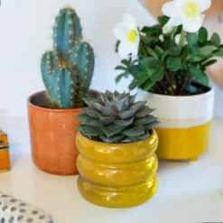 Two Tone Ombre Indoor Plant Pot - 12cm -Green Decor Hub Sales Store 14197407 1225024191593906