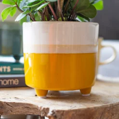 Two Tone Ombre Indoor Plant Pot - 12cm -Green Decor Hub Sales Store 14197407 3655024191436277