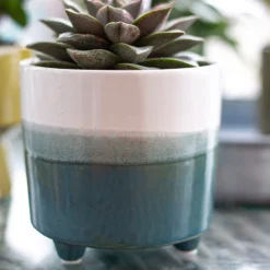 Two Tone Ombre Indoor Plant Pot - 12cm -Green Decor Hub Sales Store 14197407 8595024191498422