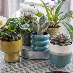 Crackle Leaf Indoor Plant Pot - 12cm -Green Decor Hub Sales Store 14197410 1395024191595766