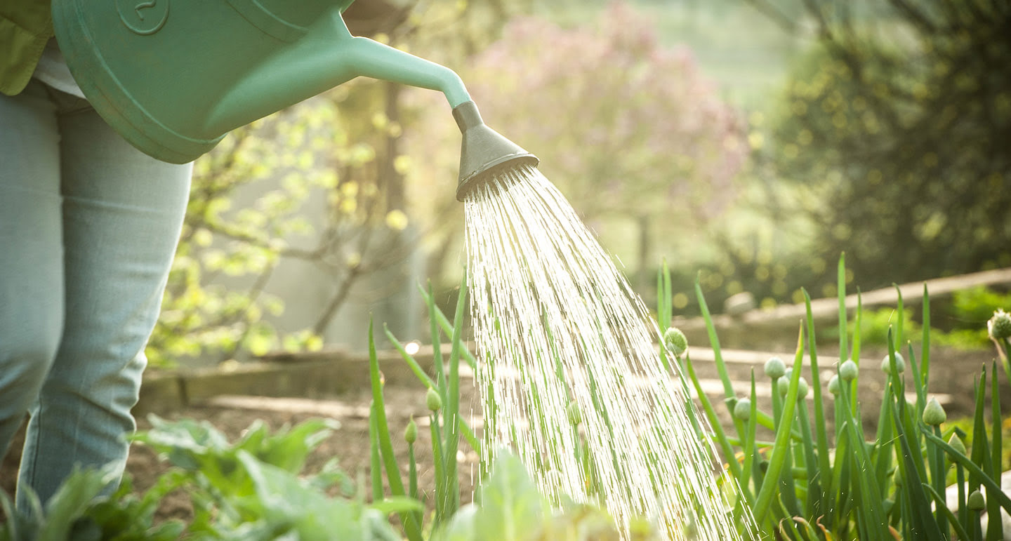 Green Decor Hub Sales Store -Green Decor Hub Sales Store water geven in de tuin